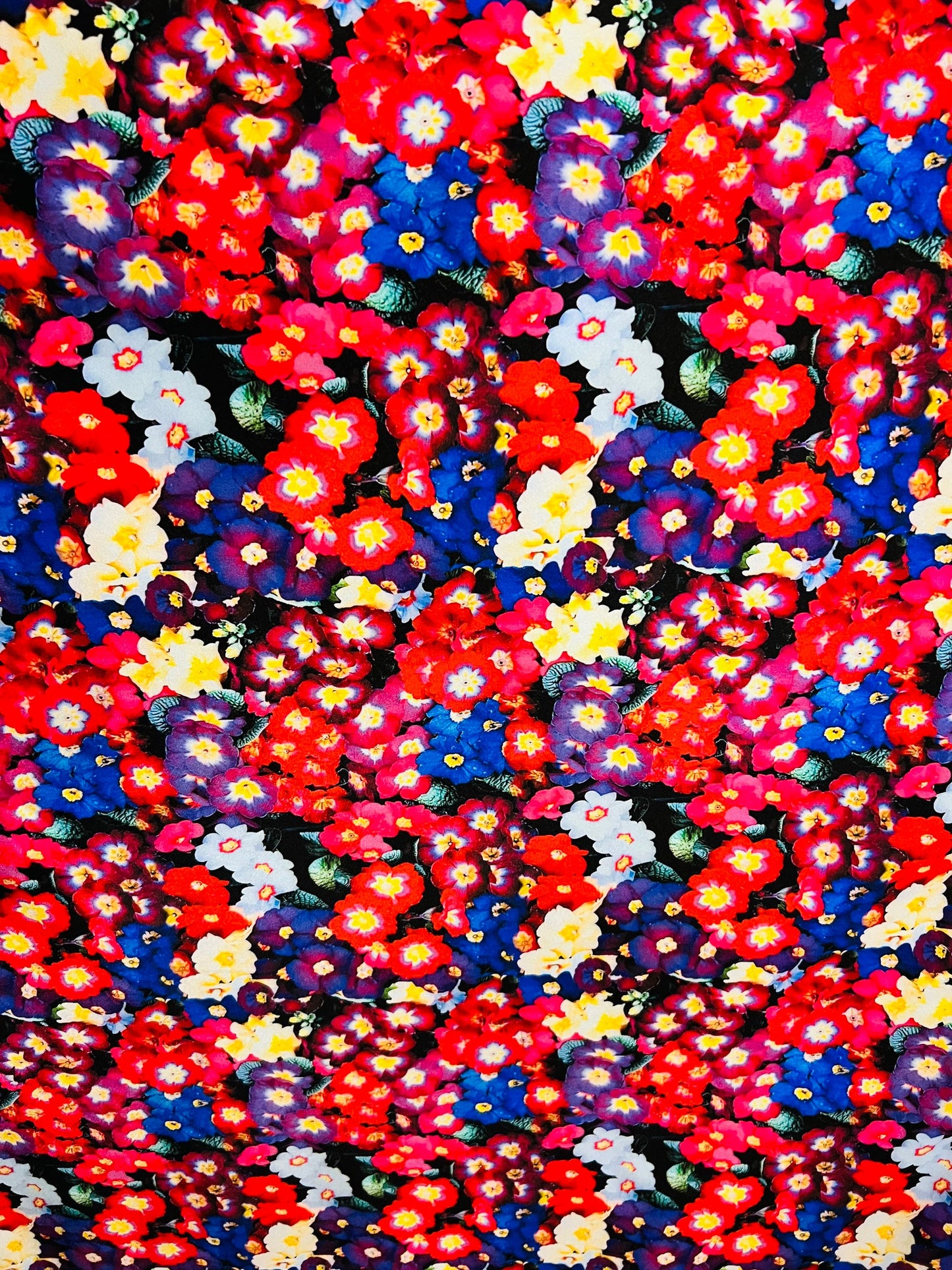 Multicolor flowers design new Luxury print nylon spandex 4-way stretch 58/60” Sold by the YD. Ships Worldwide from Los Angeles California US