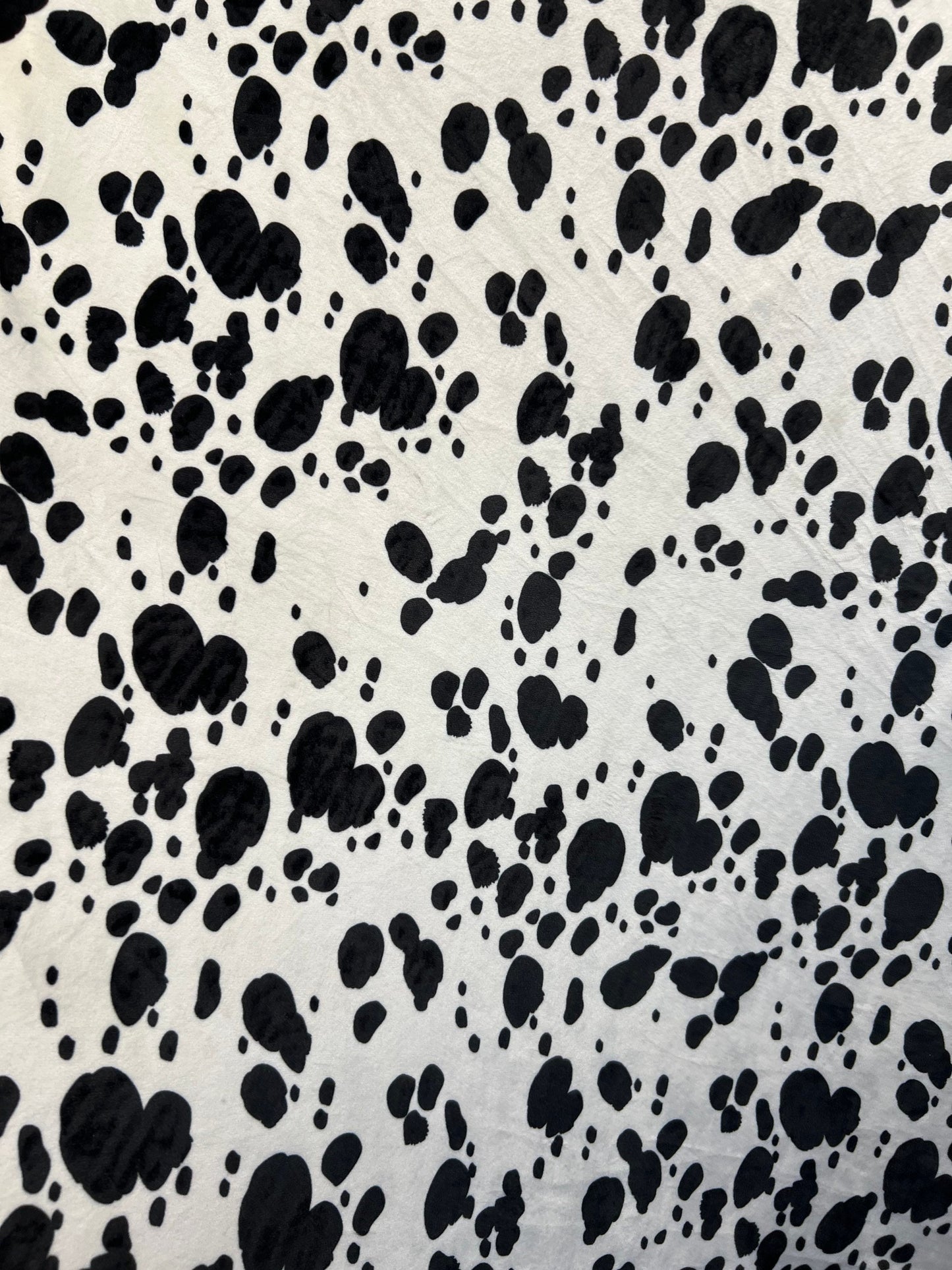 Dalmatian design exotic animal Natural color print on great quality of steam velour stretch velvet 4-way 58/60”