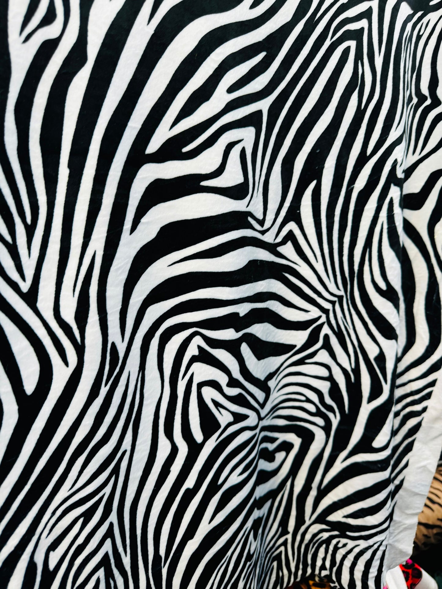 Exotic zebra design print on best quality of stretch velvet 4-way stretch 58/60”