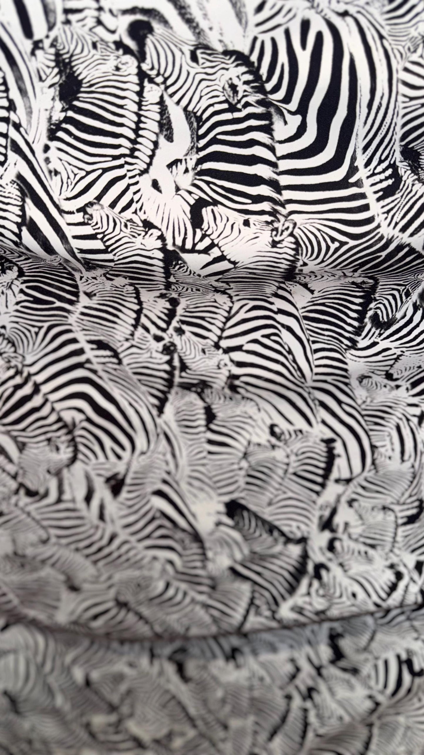 New Safari Zebra design print on nylon spandex 4-way stretch 58/60” Sold by the YD. Ships worldwide from Los Angeles California USA.