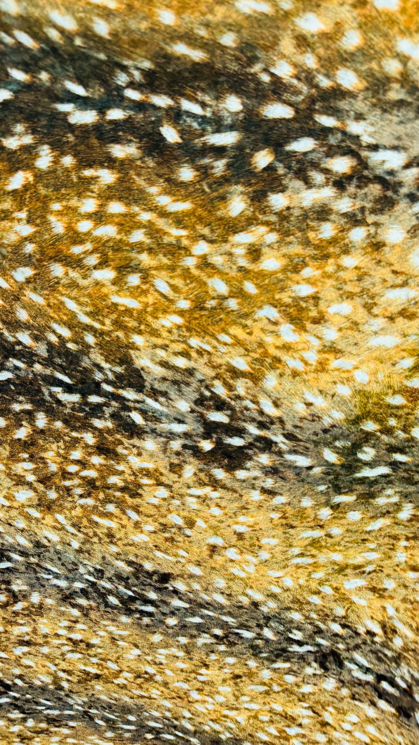 Bambi Exotic design animal print on stretch velvet best quality 58/60” Sold by the YD. Ships worldwide from Los Angeles California USA.