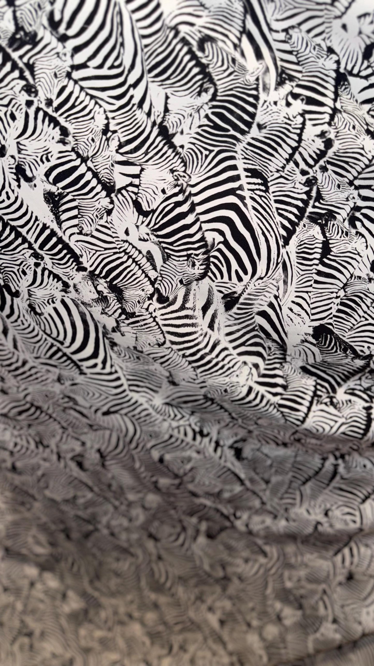 New Safari Zebra design print on nylon spandex 4-way stretch 58/60” Sold by the YD. Ships worldwide from Los Angeles California USA.