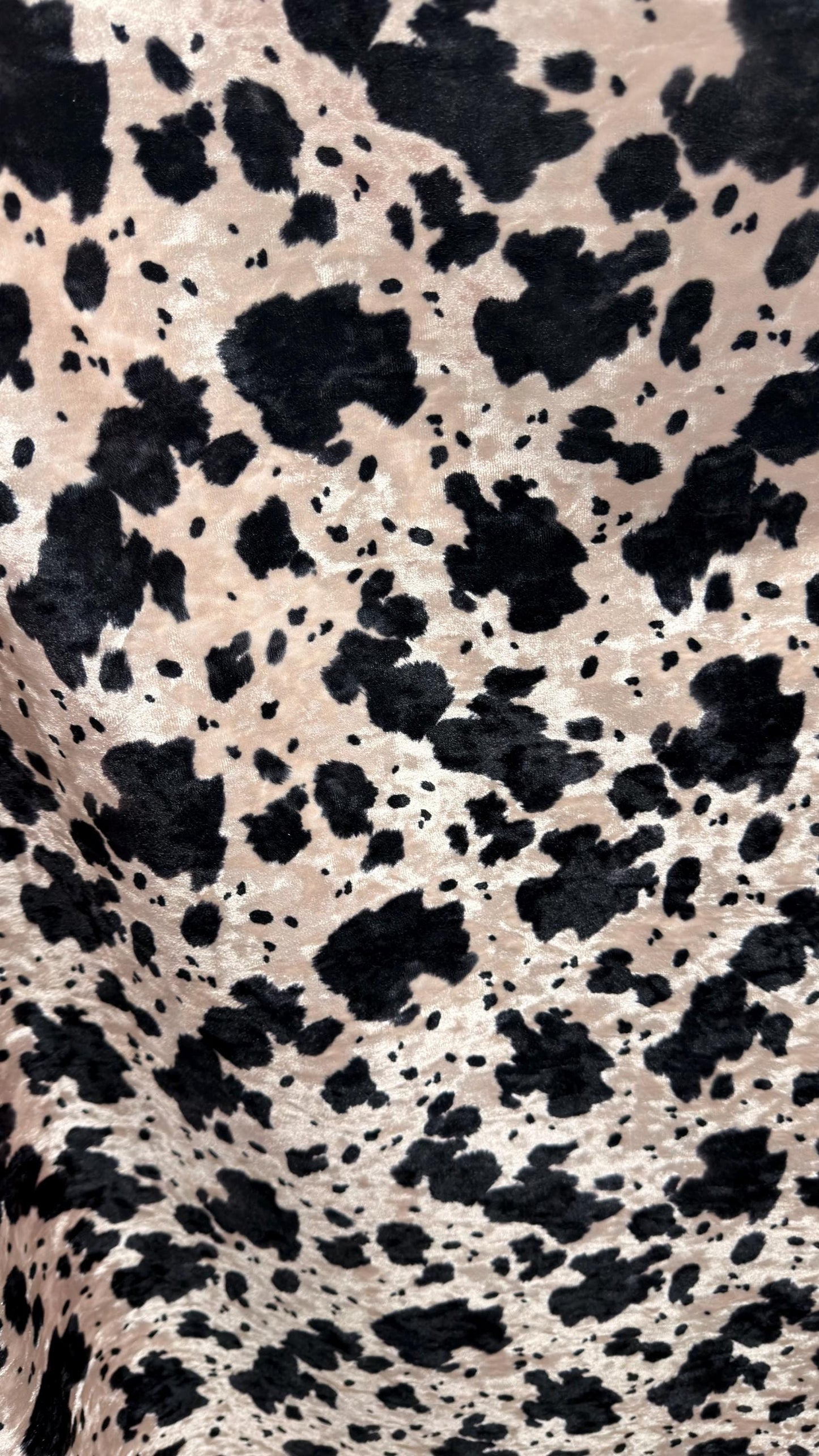 Exotic Cow design print on great quality of Crushed stretch velvet 4-way stretch 58/60” Sold by the YD. Ships worldwide from Los Angeles CA