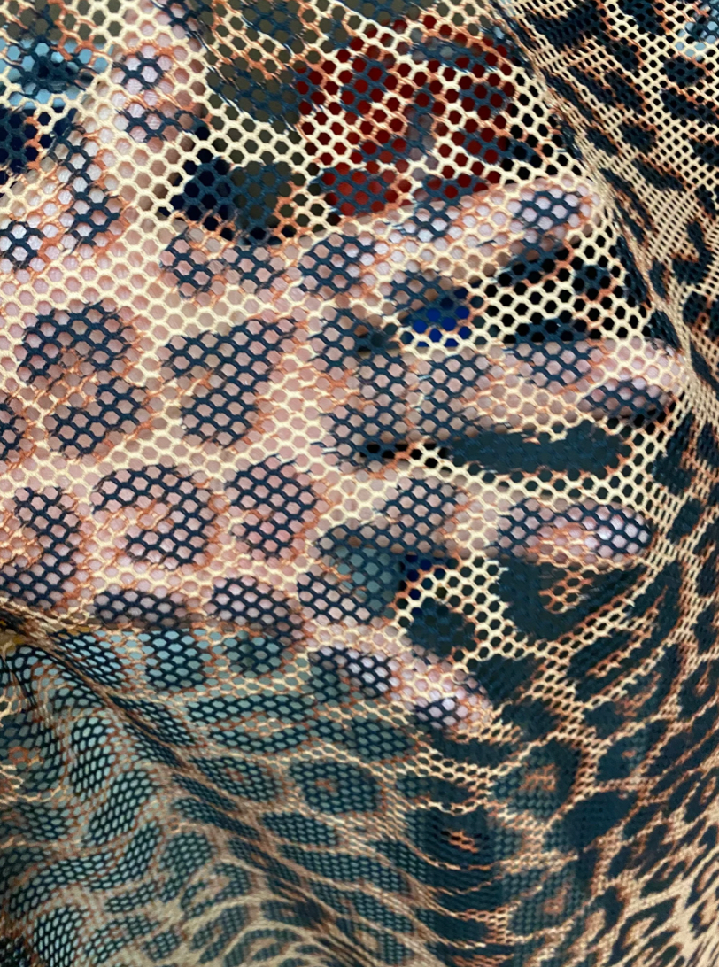 Fishnet