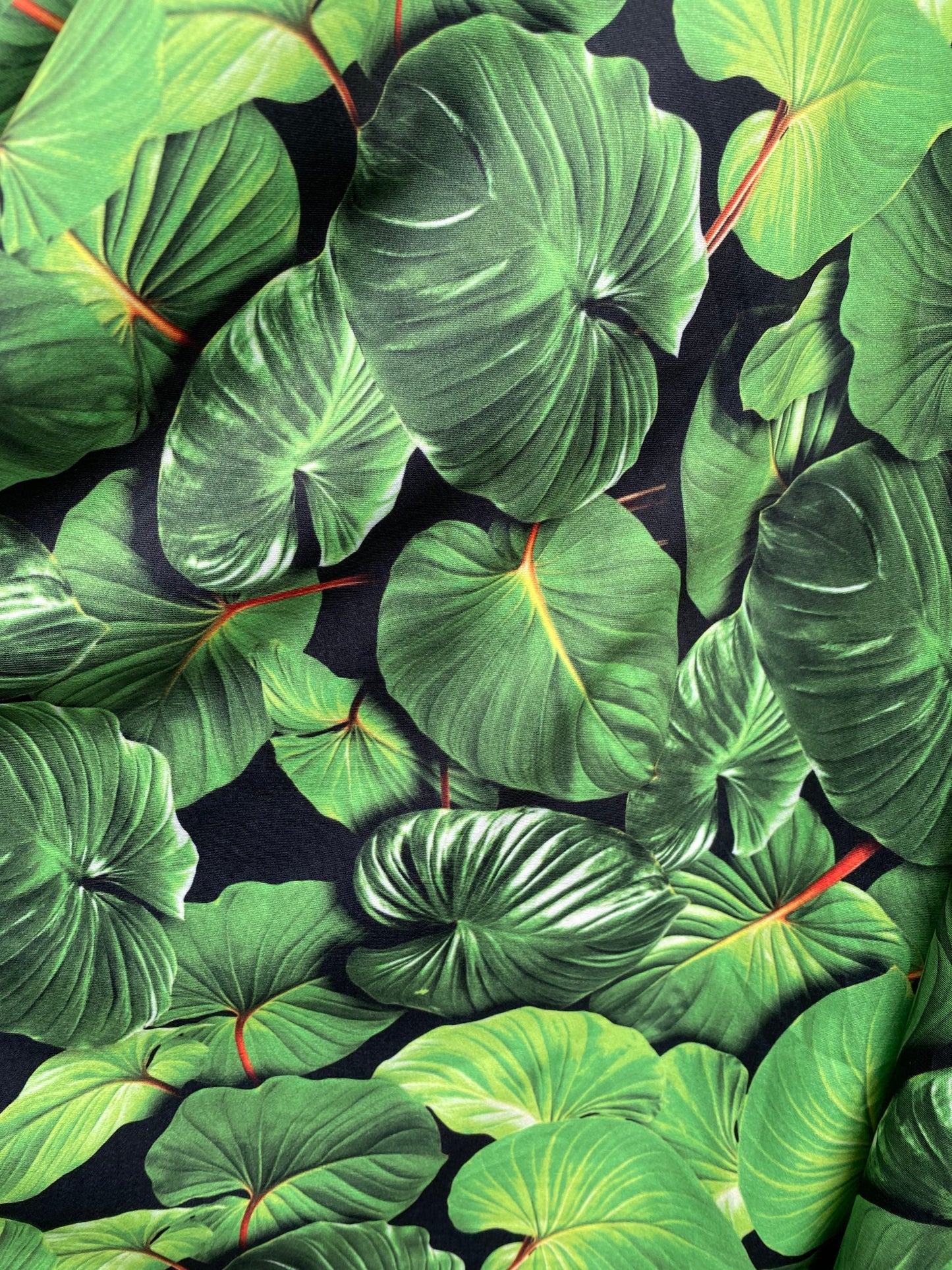 New leaves tropical design print on nylon spandex 4-way stretch 58/60” Sold by the YD. Ships worldwide from Los Angeles California USA.