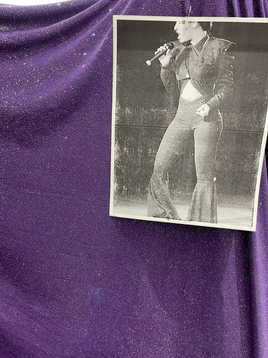 Selena design purple/silver poly spandex with glitter all over 4-way stretch 58/60” Sold by the YD. Ships Worldwide from Los Angeles CA