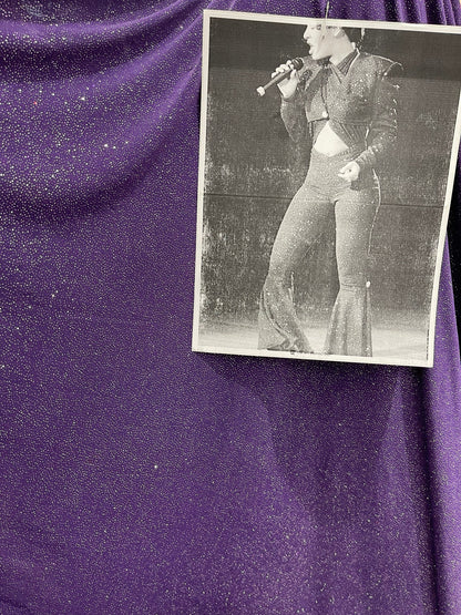 Selena design purple/silver poly spandex with glitter all over 4-way stretch 58/60” Sold by the YD. Ships Worldwide from Los Angeles CA