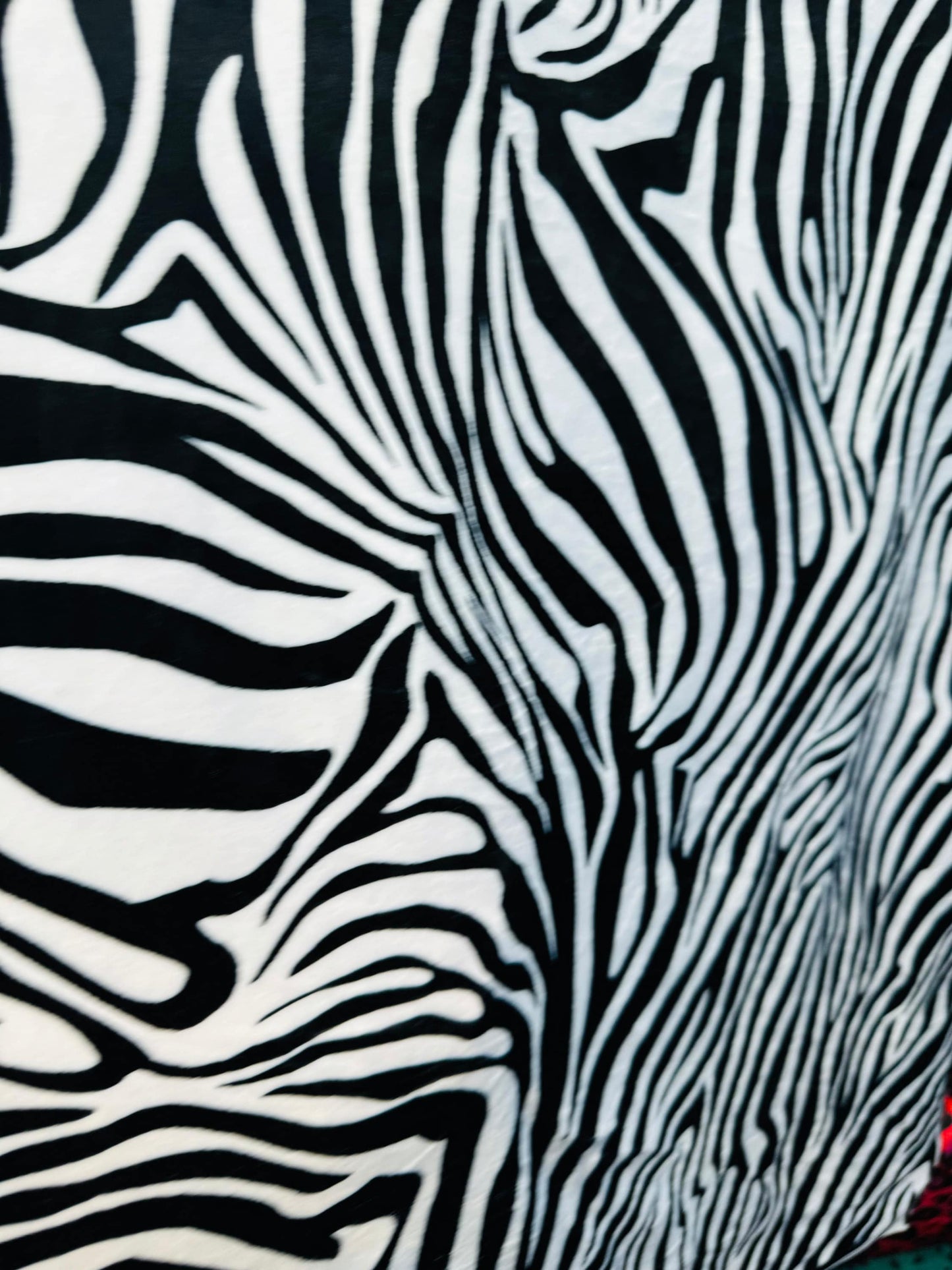 Exotic zebra design print on best quality of stretch velvet 4-way stretch 58/60”