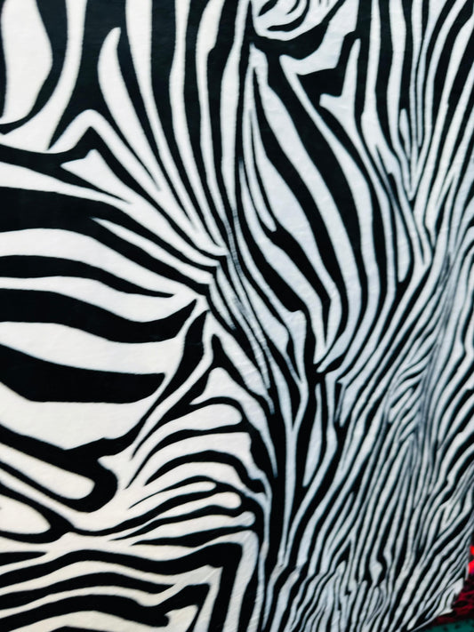 Exotic zebra design print on best quality of stretch velvet 4-way stretch 58/60”