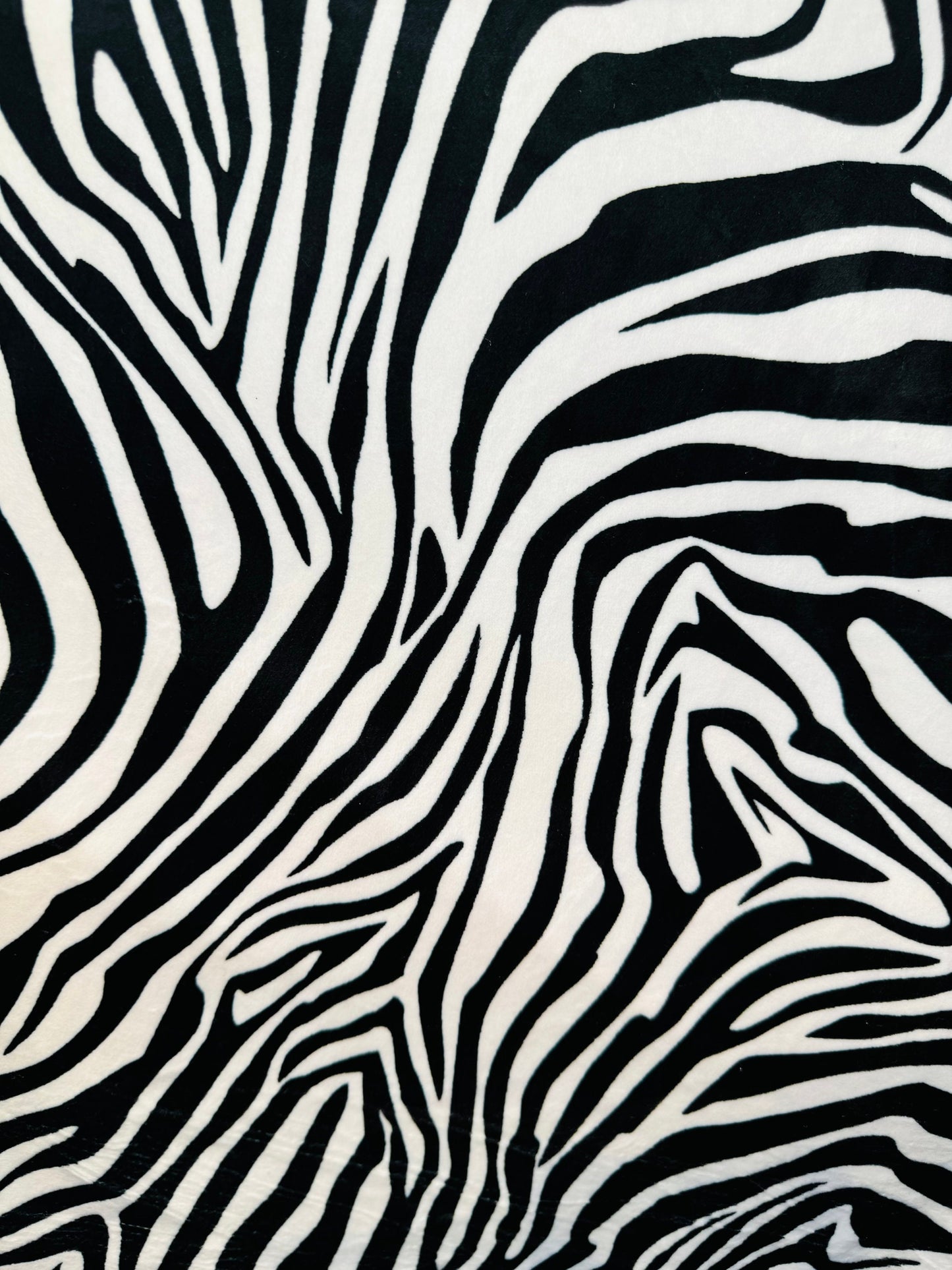 Exotic zebra design print on best quality of stretch velvet 4-way stretch 58/60”