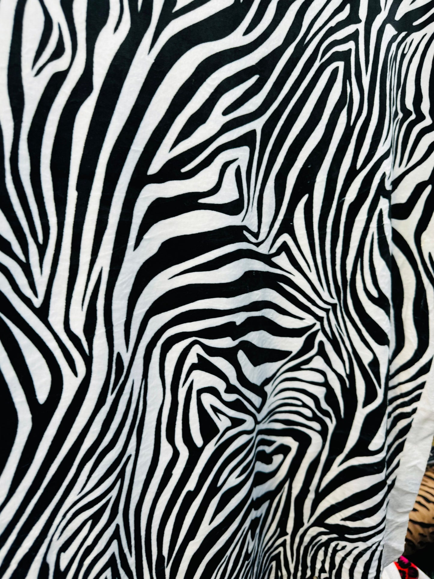 Exotic zebra design print on best quality of stretch velvet 4-way stretch 58/60”