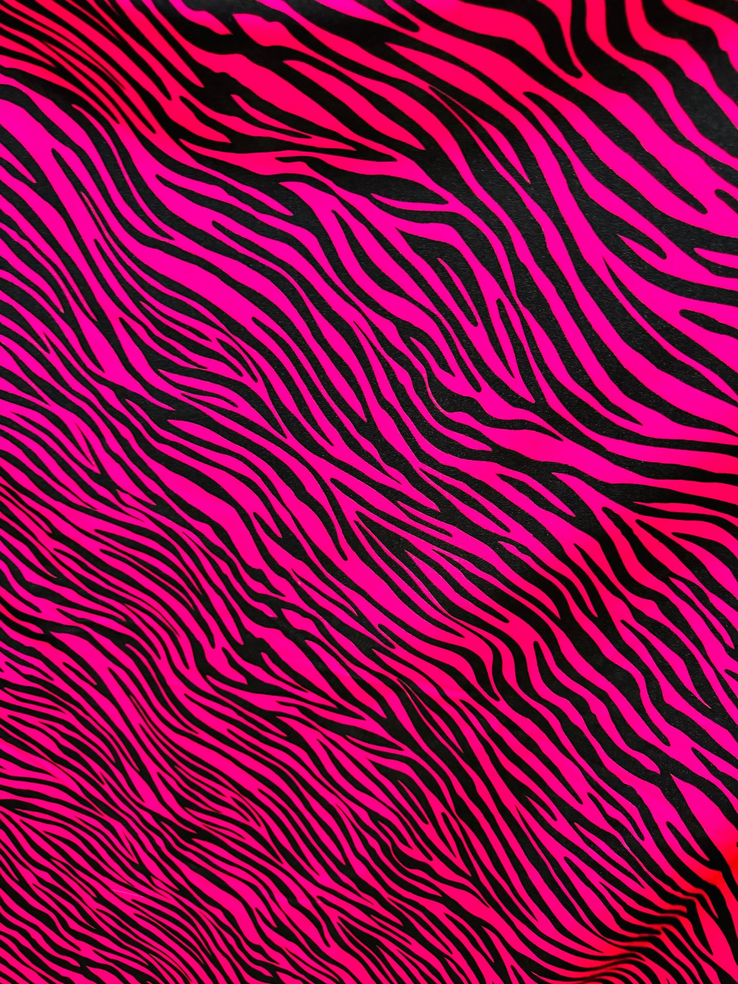 Exotic zebra design Fuchsia/black print on best quality shiny nylon spandex 4-way stretch 58/60”