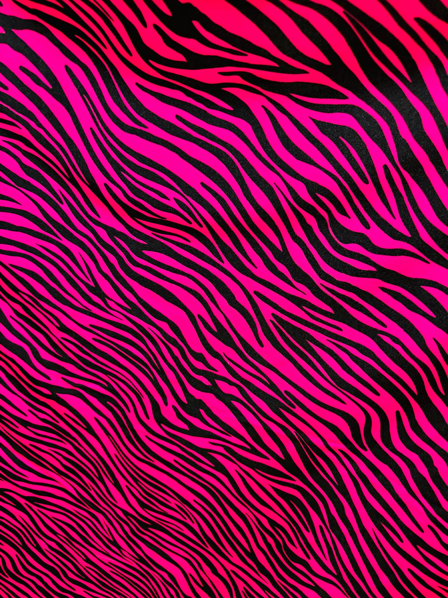 Exotic zebra design Fuchsia/black print on best quality shiny nylon spandex 4-way stretch 58/60”