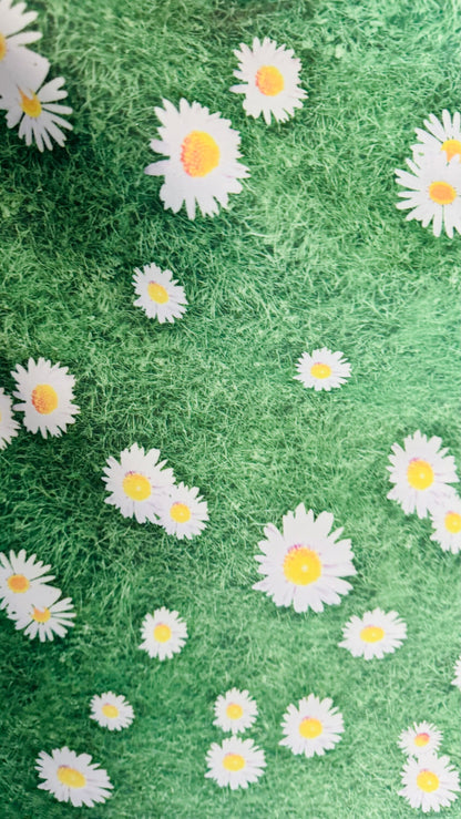 Shasta Daisy flower design print on great quality of nylon spandex 4-way stretch 58/60” High quality fabrics by AlexLAFabrics