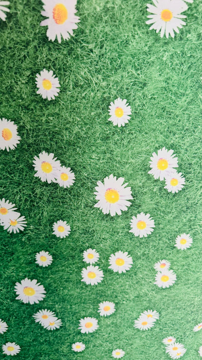 Shasta Daisy flower design print on great quality of nylon spandex 4-way stretch 58/60” High quality fabrics by AlexLAFabrics