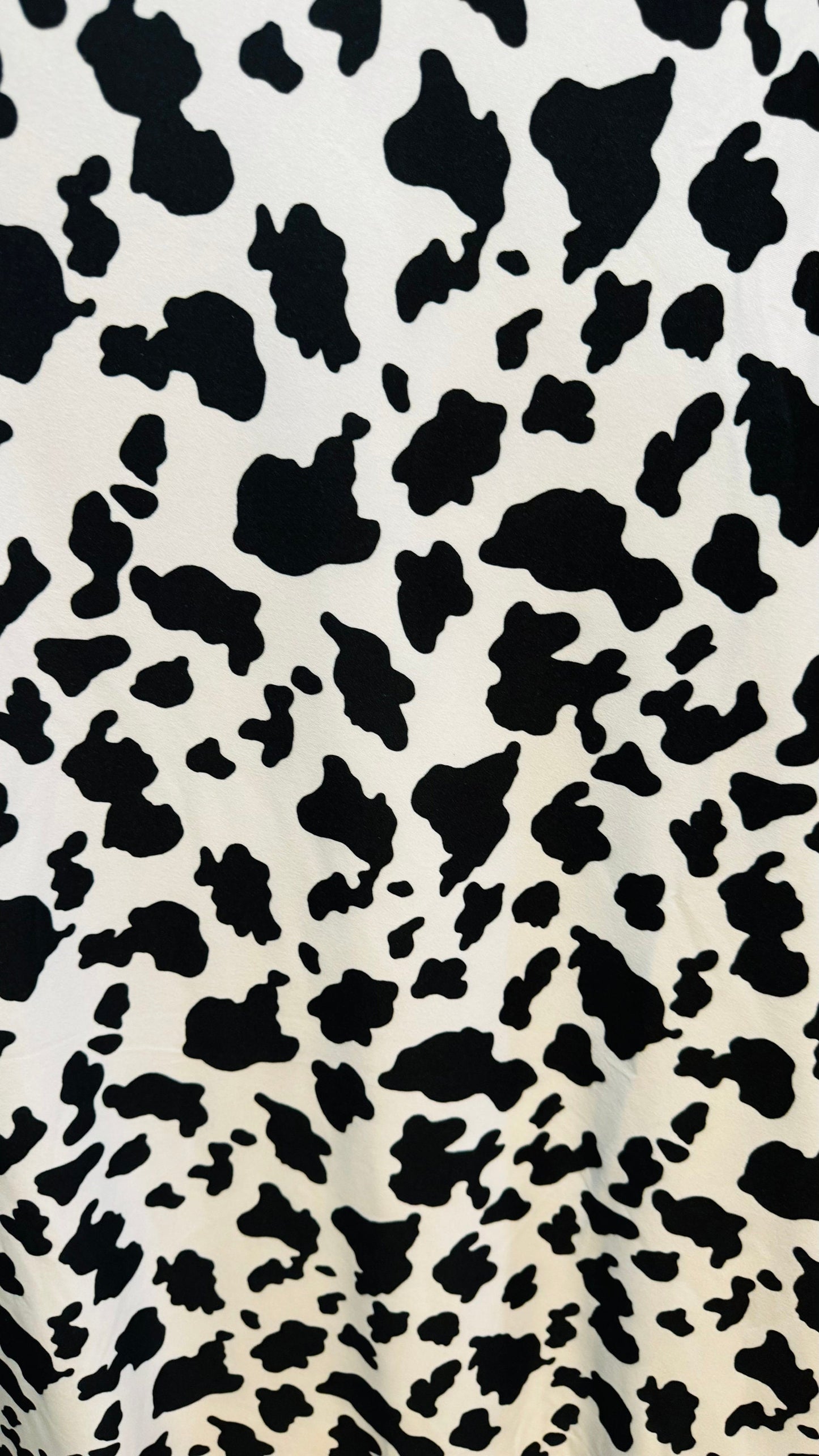Cow design print on DTY brushed poly spandex 2-way stretch 58/60” High quality fabrics by AlexLAFabrics