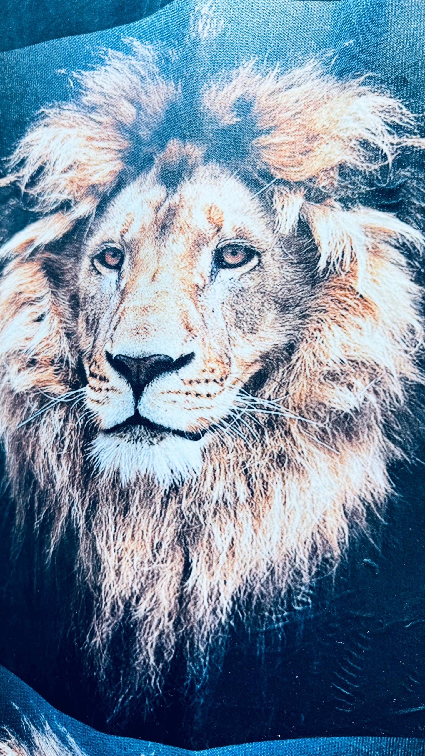 Exotic Lion King design print on best quality of stretch velvet 4-way stretch 58/60” High quality fabrics by AlexLAFabrics