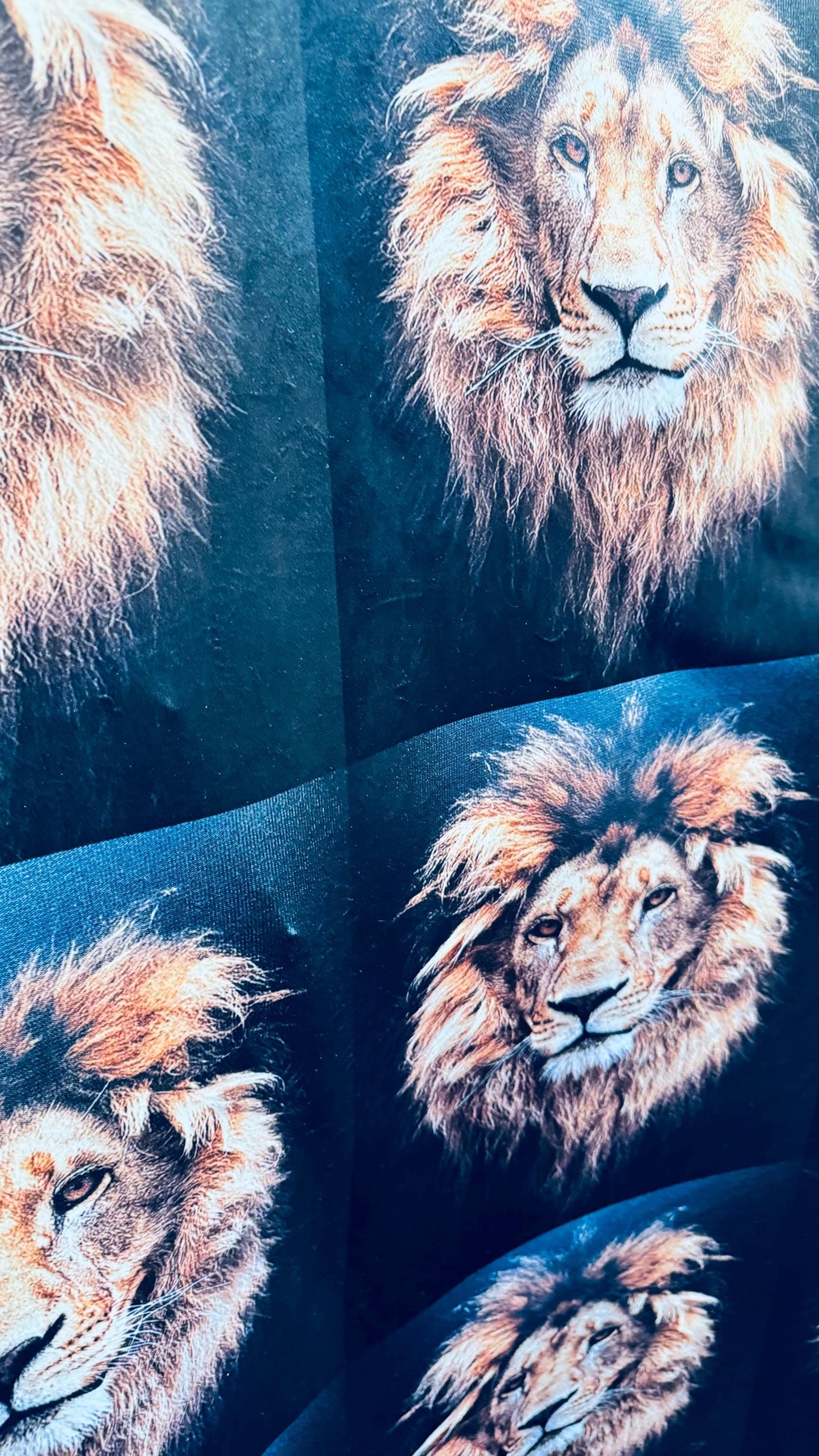 Exotic Lion King design print on best quality of stretch velvet 4-way stretch 58/60” High quality fabrics by AlexLAFabrics