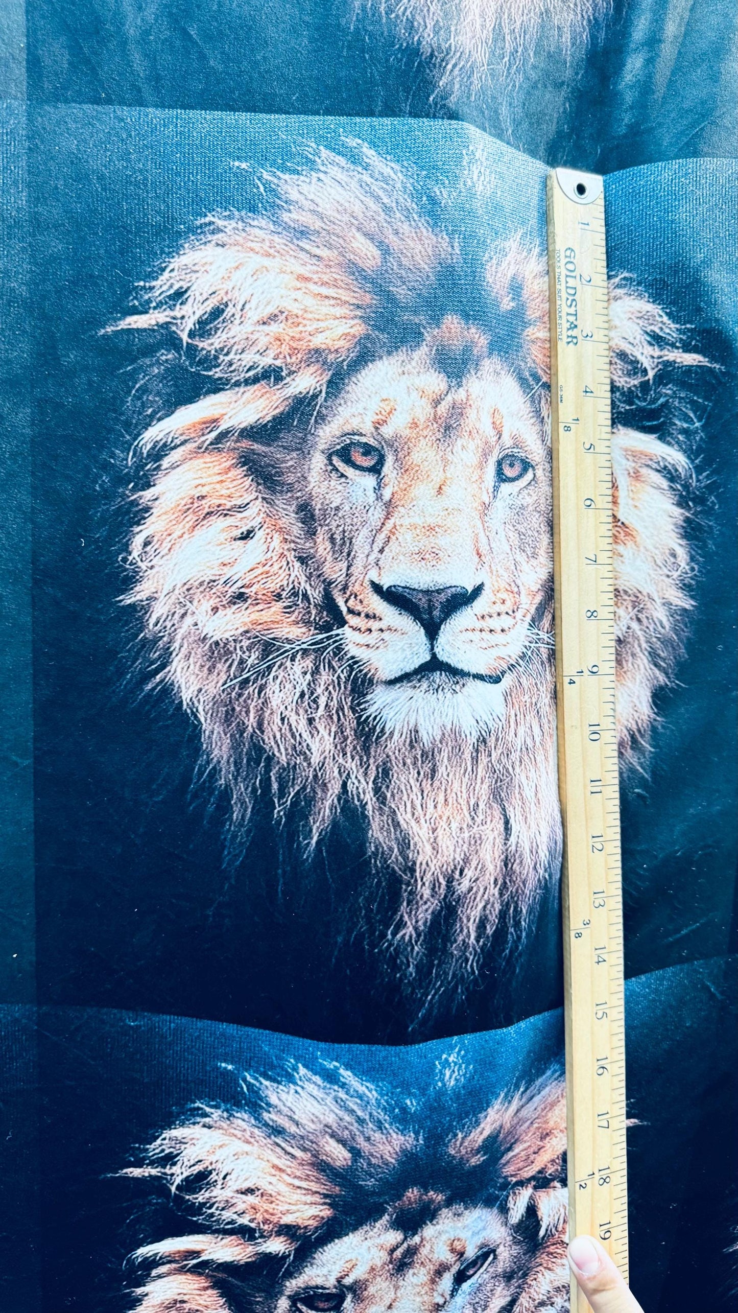 Exotic Lion King design print on best quality of stretch velvet 4-way stretch 58/60” High quality fabrics by AlexLAFabrics