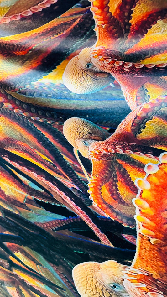Octopus design multicolor print on nylon spandex 4way stretch 58/60" Sold by the yd. Ships worldwide from Los Angeles California USA.