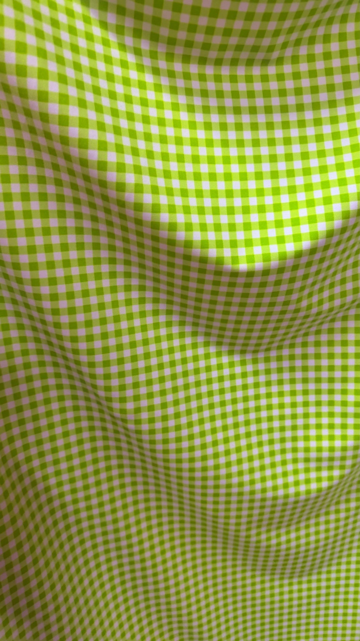 Gingham design Green/white  print on great quality of nylon spandex 4-way stretch 58/60” Sold by the YD. High quality fabrics by AlexLAFabri