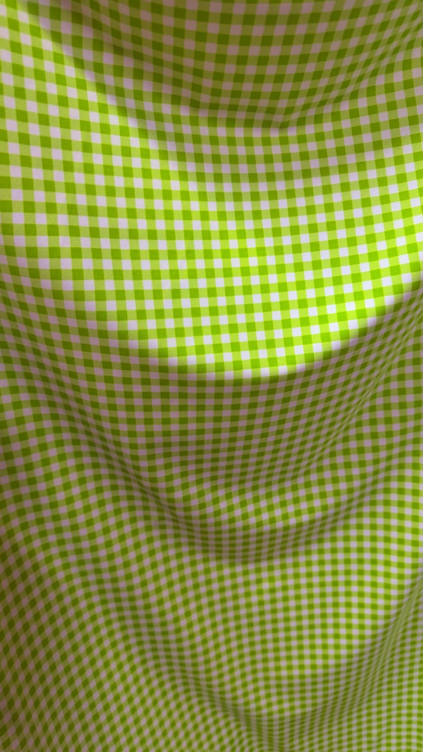 Gingham design Green/white  print on great quality of nylon spandex 4-way stretch 58/60” Sold by the YD. High quality fabrics by AlexLAFabri