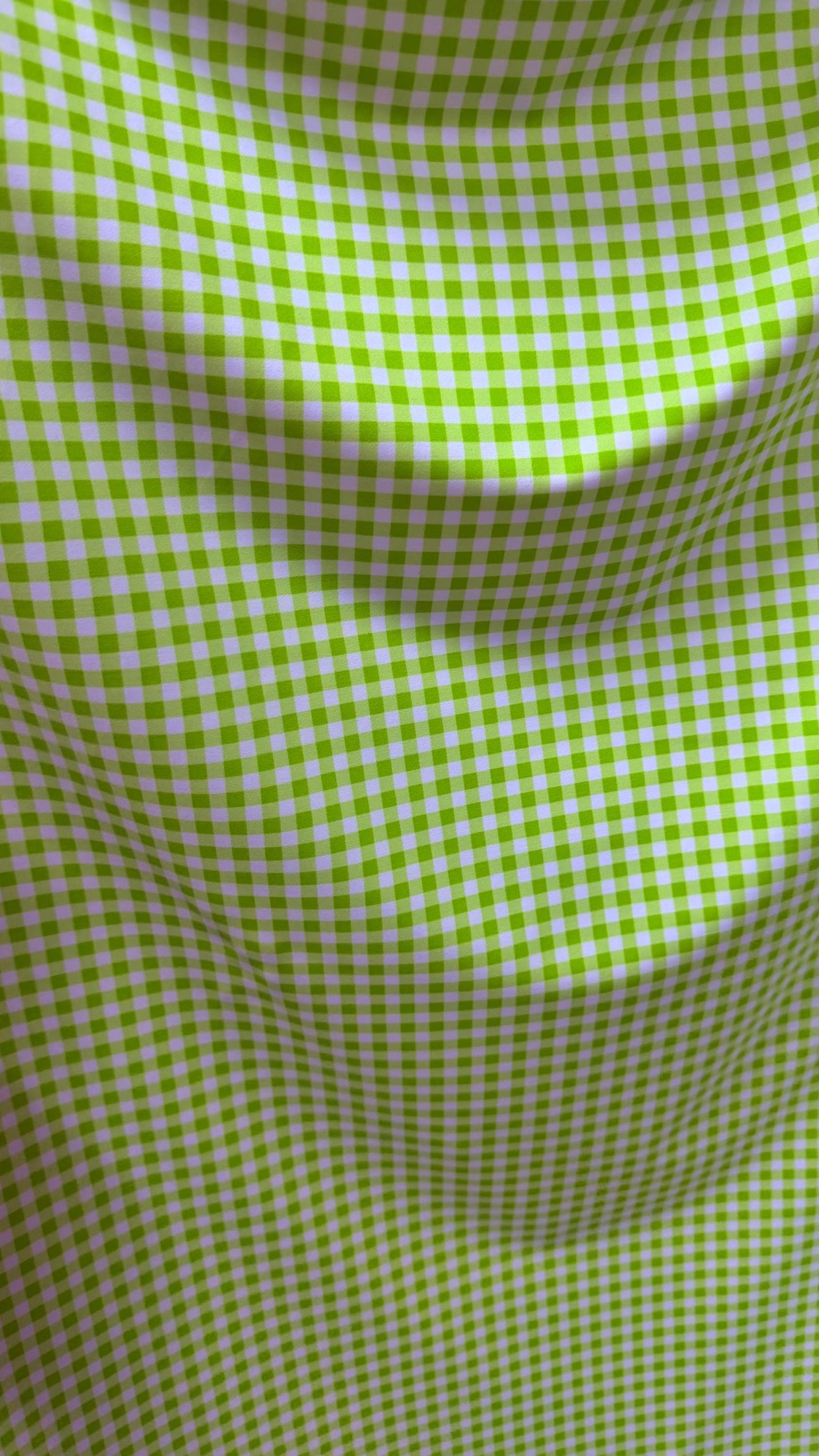 Gingham design Green/white  print on great quality of nylon spandex 4-way stretch 58/60” Sold by the YD. High quality fabrics by AlexLAFabri