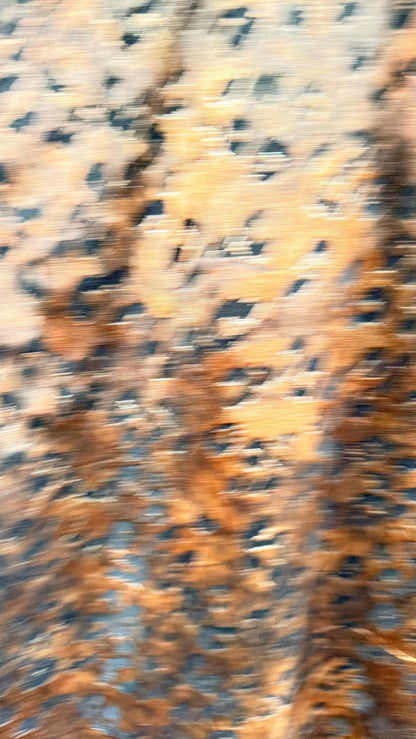 New Burnout gold stretch velvet exotic Leopard design 4-way stretch 58/60” Sold by the YD. Ships Worldwide from Los Angeles California USA.