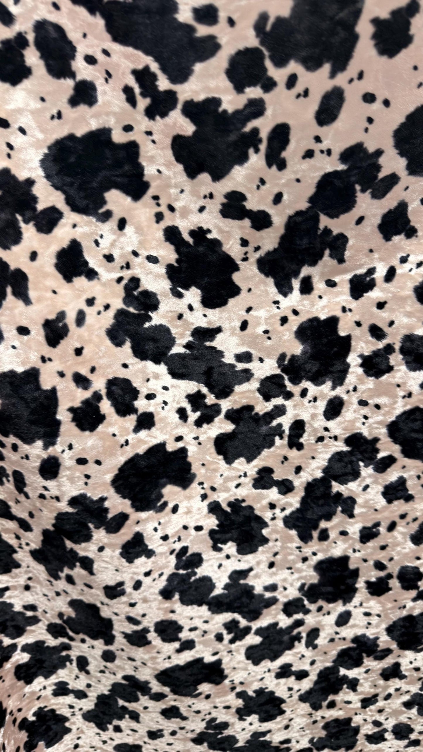 Exotic Cow design print on great quality of Crushed stretch velvet 4-way stretch 58/60” Sold by the YD. Ships worldwide from Los Angeles CA