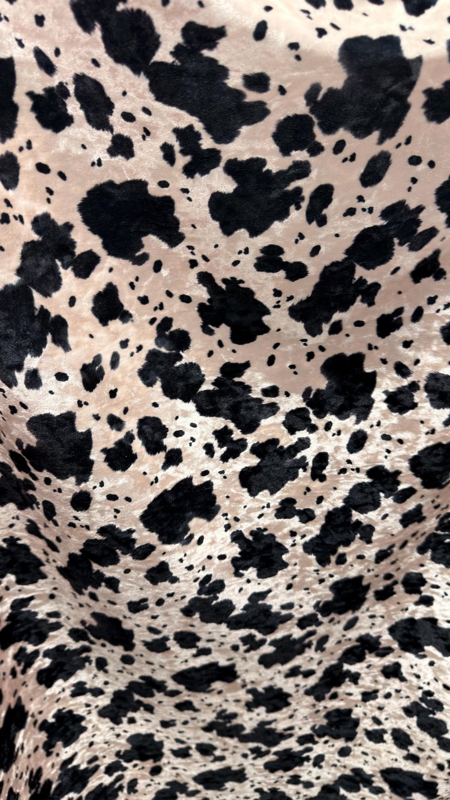Exotic Cow design print on great quality of Crushed stretch velvet 4-way stretch 58/60” Sold by the YD. Ships worldwide from Los Angeles CA