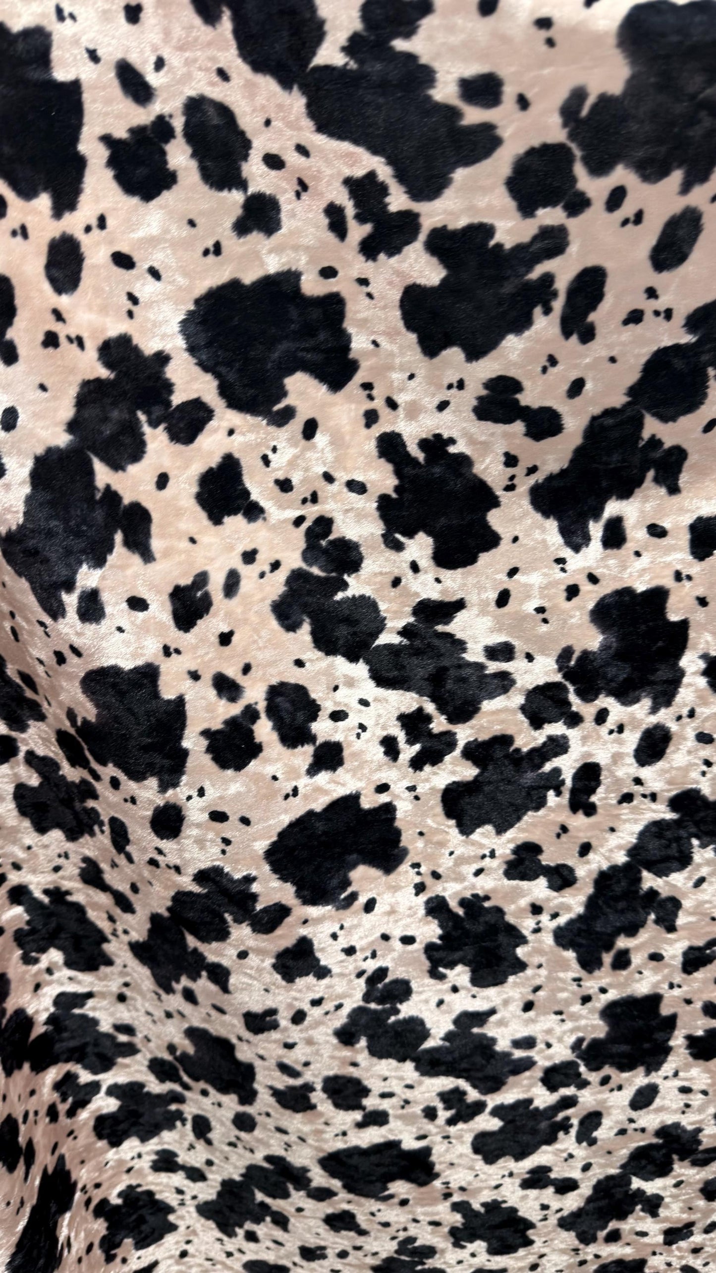 Exotic Cow design print on great quality of Crushed stretch velvet 4-way stretch 58/60” Sold by the YD. Ships worldwide from Los Angeles CA
