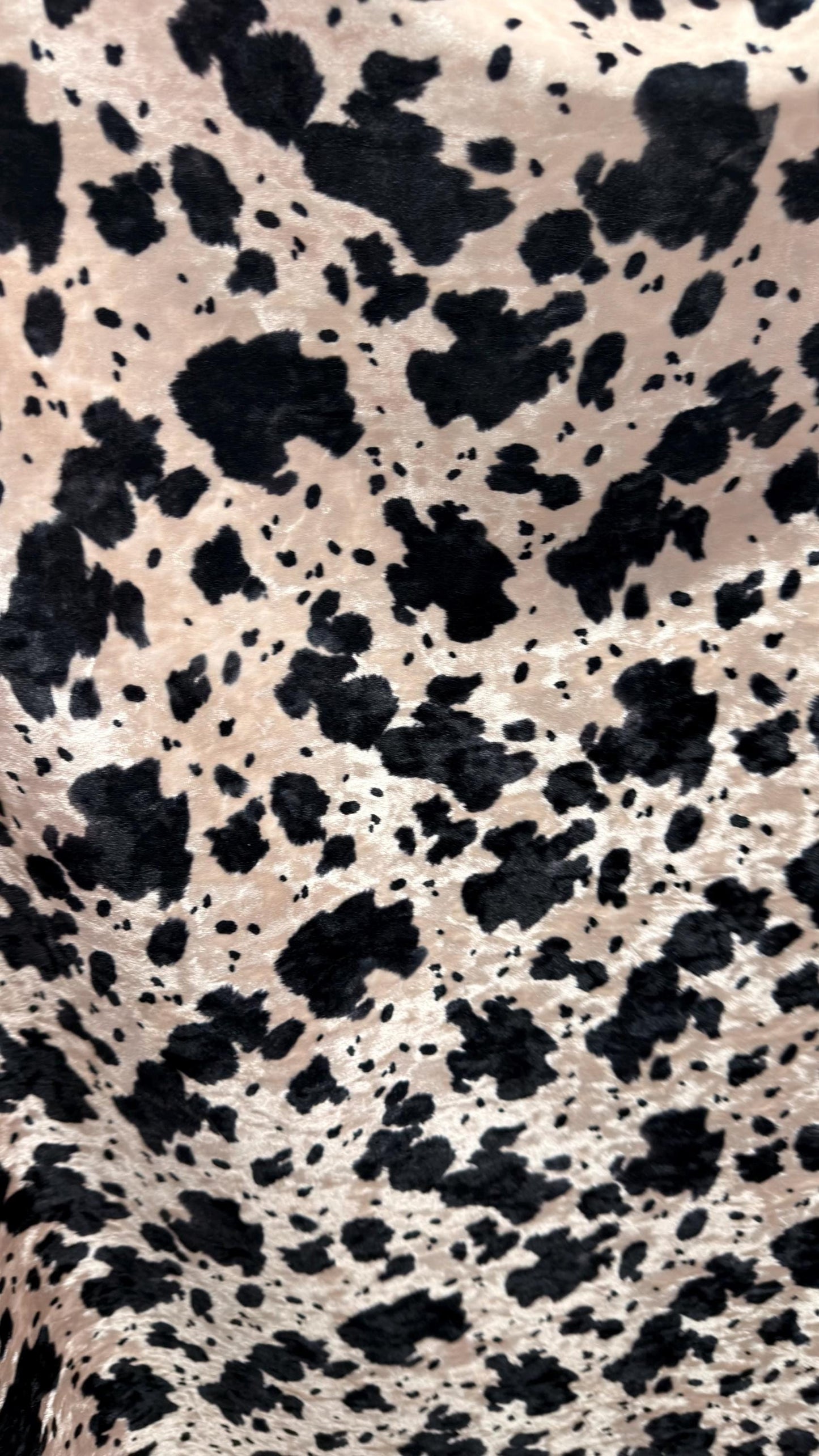 Exotic Cow design print on great quality of Crushed stretch velvet 4-way stretch 58/60” Sold by the YD. Ships worldwide from Los Angeles CA